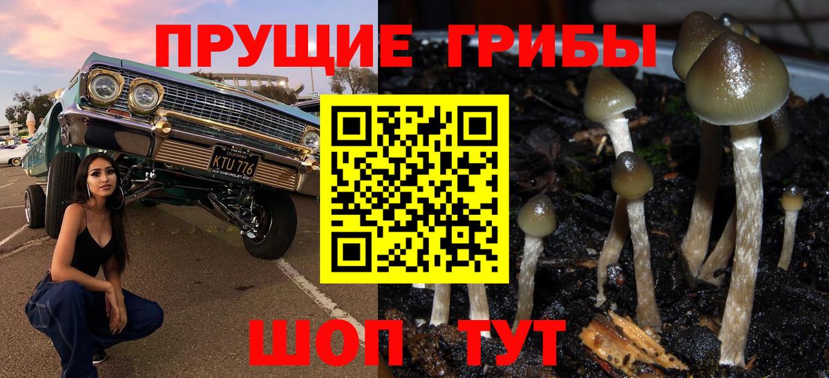 Псилоцибиновые грибы мухоморы  как найти закладки  Елец  Вход с VPN  Галлюциногенные грибы ЛСД 