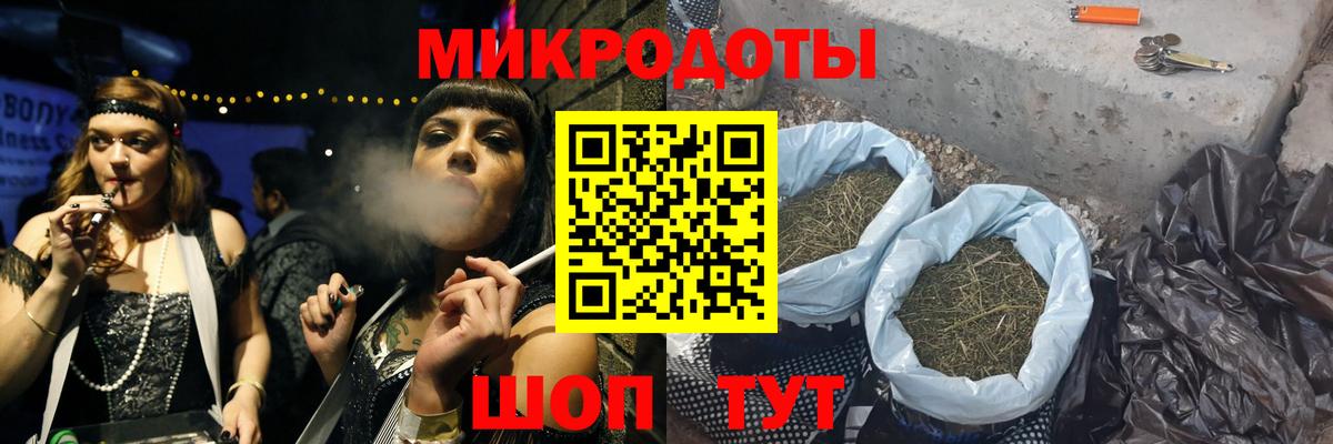 Галлюциногенные грибы Cubensis Елец